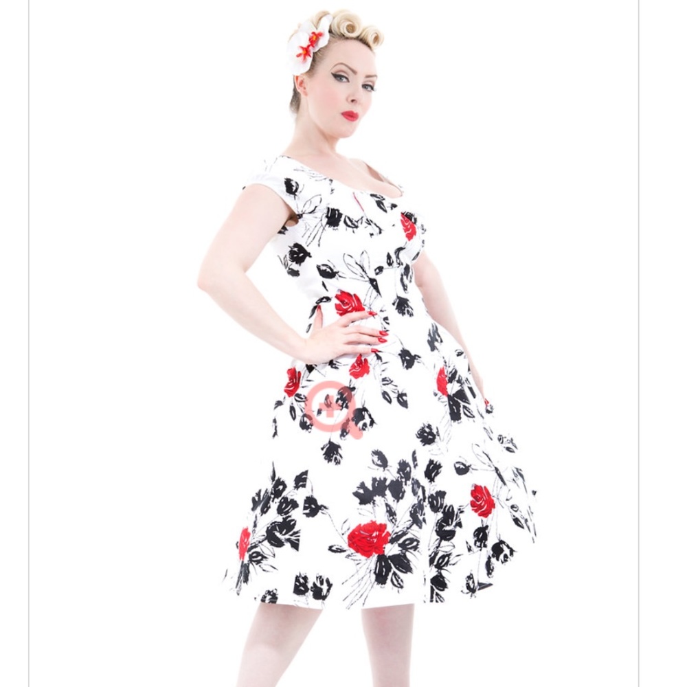 NWT Hearts & Roses Swing Vintage Dress